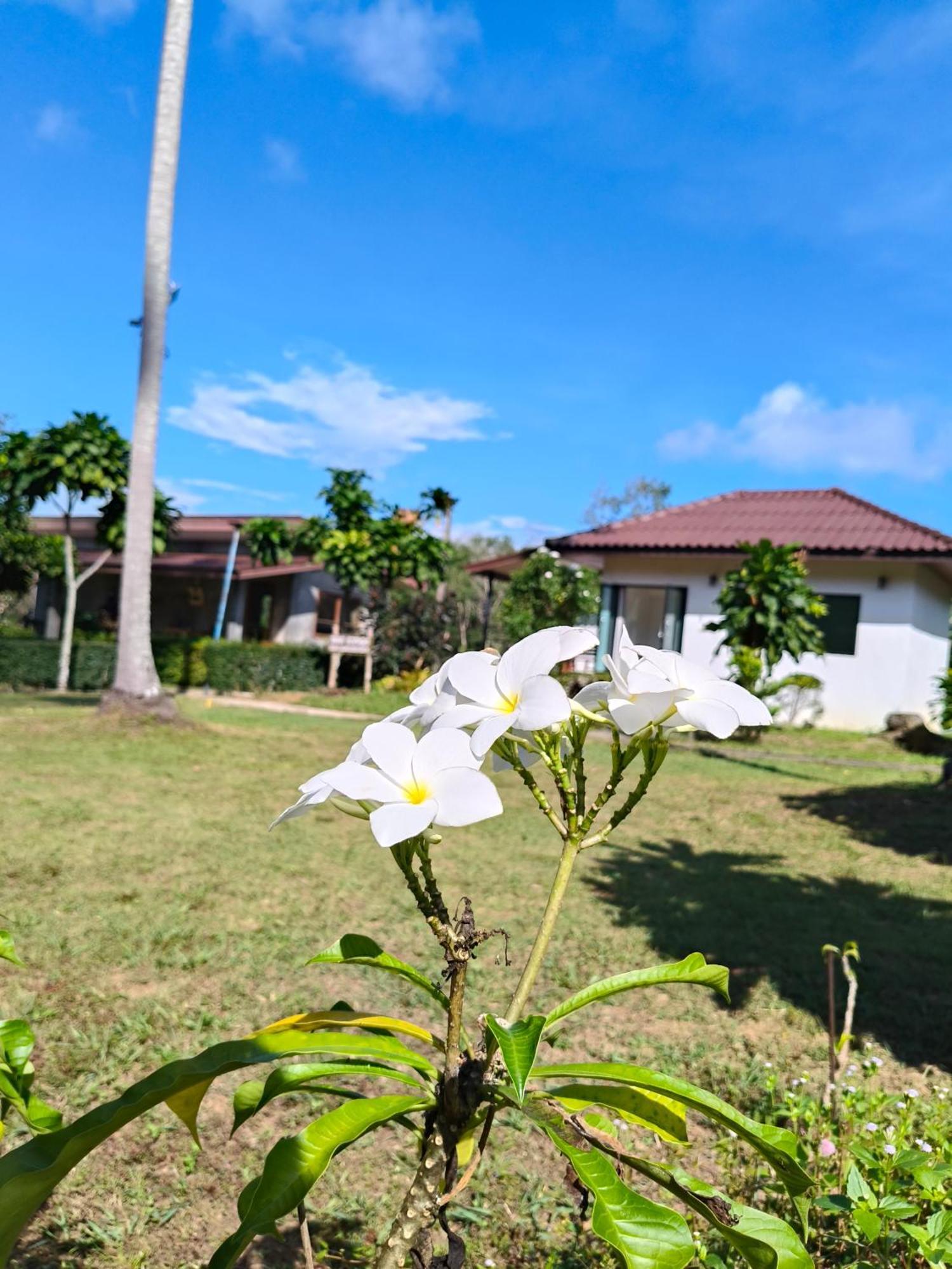 The Lodge At Koh Kood Ko Kut Dış mekan fotoğraf